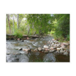 Oak Creek and Mallard Ducks Nature Photography Postcard