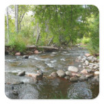Oak Creek and Mallard Ducks Nature Photography Square Sticker