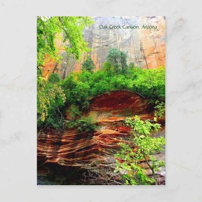 Oak Creek Canyon Postcard (Front)