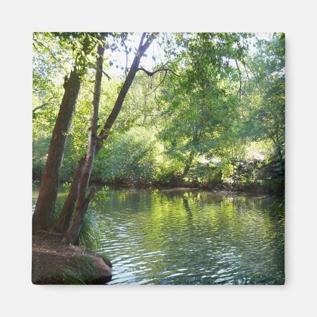 Oak Creek I in Sedona Arizona Nature Photography Magnet (Front)