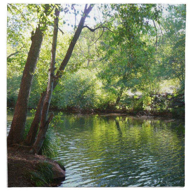 Oak Creek I in Sedona Arizona Nature Photography Napkin (Front)