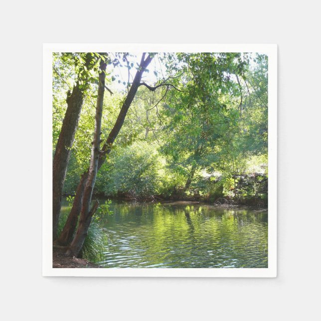 Oak Creek I in Sedona Arizona Nature Photography Paper Napkins (Front)