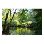 Oak Creek I in Sedona Arizona Nature Photography Poster