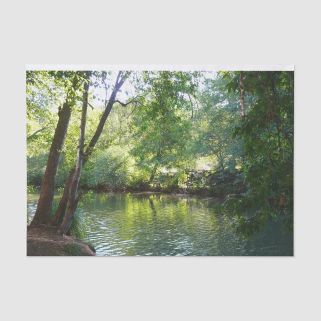 Oak Creek I in Sedona Arizona Nature Photography Tissue Paper (Front)