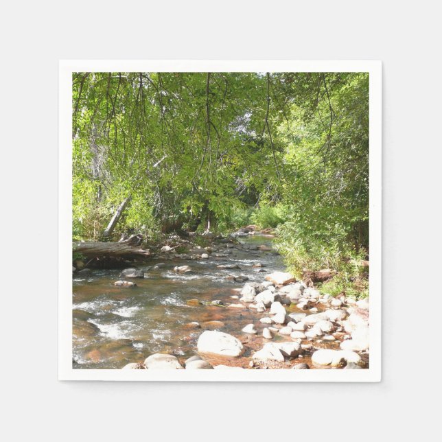 Oak Creek II in Sedona Arizona Nature Photography Paper Napkins (Front)