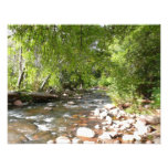 Oak Creek II in Sedona Arizona Nature Photography Photo Print