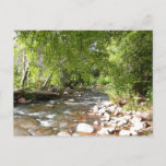 Oak Creek II in Sedona Arizona Nature Photography Postcard