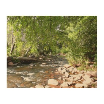 Oak Creek Ii In Sedona Arizona Nature Photography Wood Wall Art by mlewallpapers at Zazzle