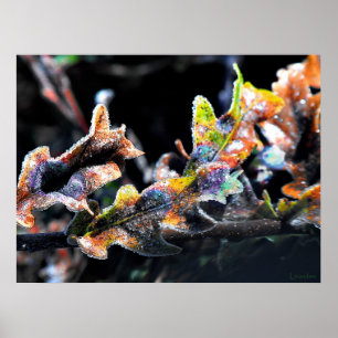 Oak Fairy Frosting Poster