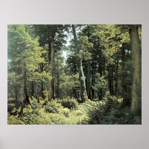 Oak Forest  Landscape Oil Painting Poster