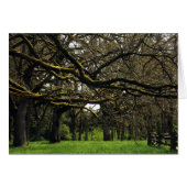 Oak Grove, 2 (Front Horizontal)