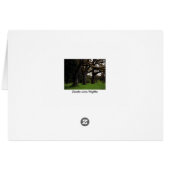 Oak Grove, 2 Cards (Back Horizontal)
