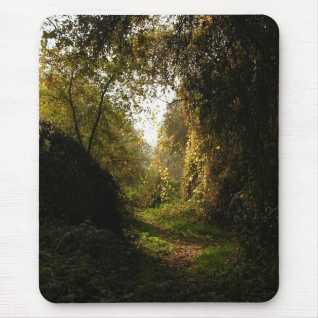 Oak Grove Morning Light Mouse Pad (Front)