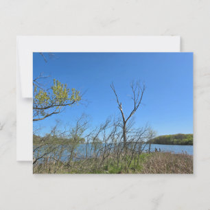 Oak Harbor, Ohio Postcard