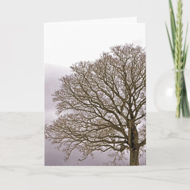 Oak in Winter 1 Holiday Card (Front)