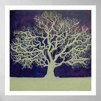 Oak in Winter Poster
