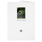 Oak Leaf Hydrangea and a Stone Wall Cards (Back)