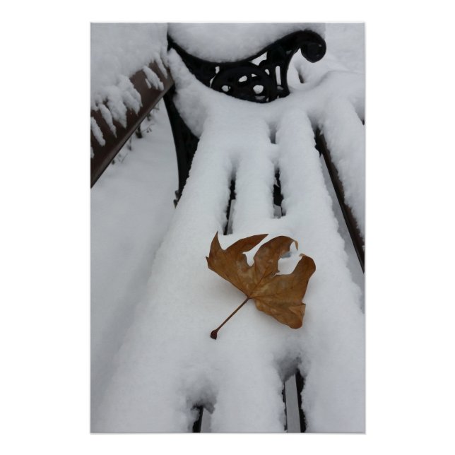 oak leaf on new snow poster (Front)