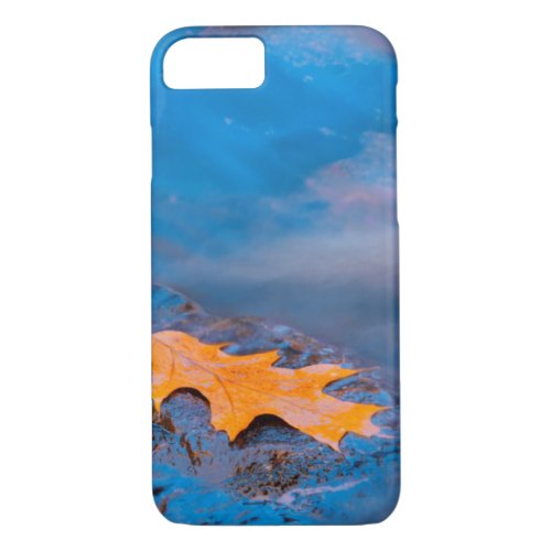 Oak leaf on rock in Rosseau River iPhone 87 Case