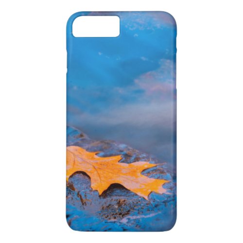 Oak leaf on rock in Rosseau River iPhone 8 Plus7 Plus Case