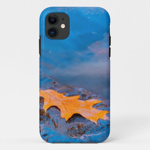 Oak leaf on rock in Rosseau River iPhone 11 Case