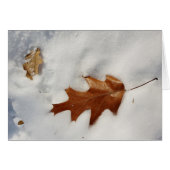 oak leaf on the snow (Front Horizontal)