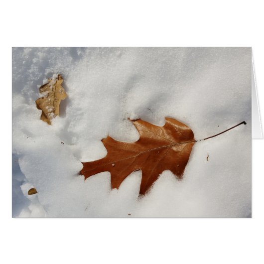 oak leaf on the snow cards (Front Horizontal)