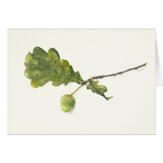 Oak leaf with acorn cards