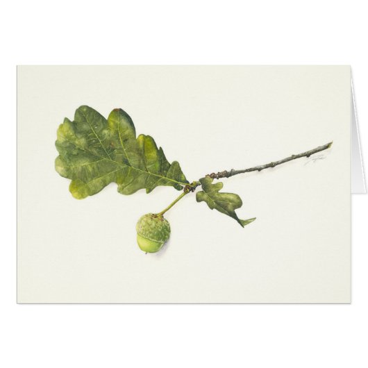 Oak leaf with acorn cards (Front Horizontal)