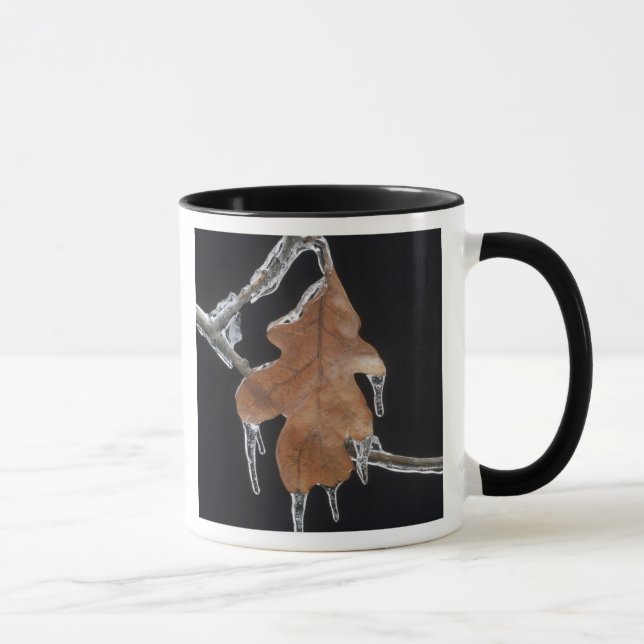 Oak Leaf with Ice Sickles After Ice Storm ; Mug (Right)