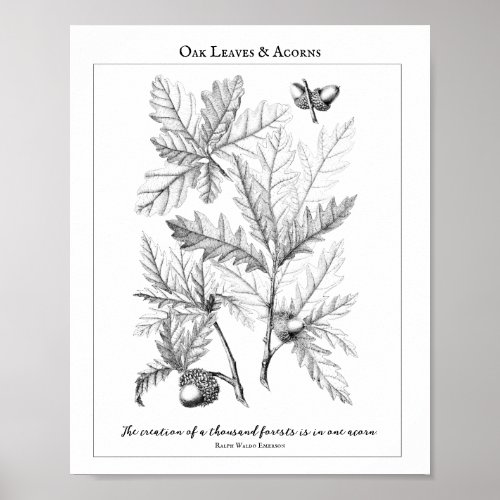Oak Leaves and Acorns Customizable Quote Poster