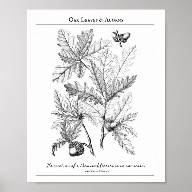 Oak Leaves and Acorns Customizable Quote Poster (Front)