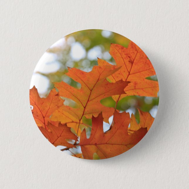 Oak Leaves Pinback Button (Front)