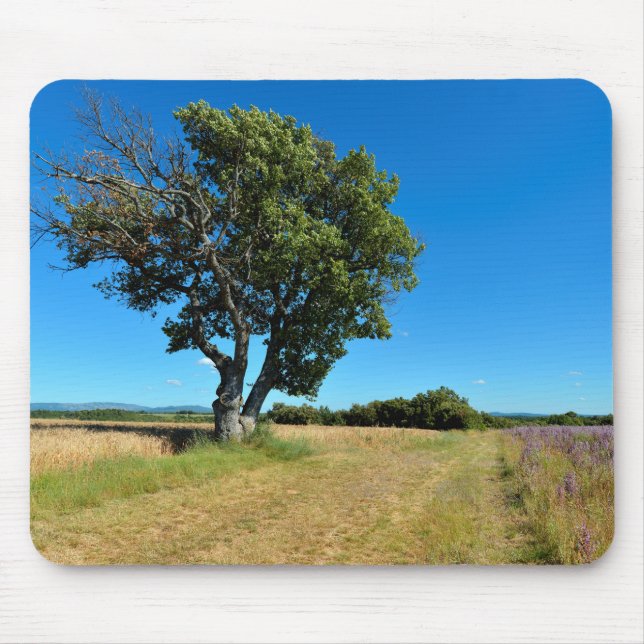 Oak tree and agriculture in France Mouse Pad (Front)