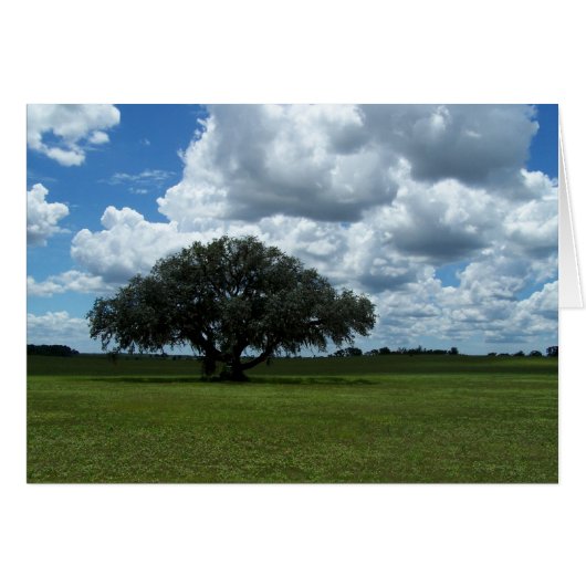 Oak Tree and Clouds Cards (Front Horizontal)