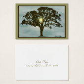 Oak Tree at Sunset Art Card (Front & Back)