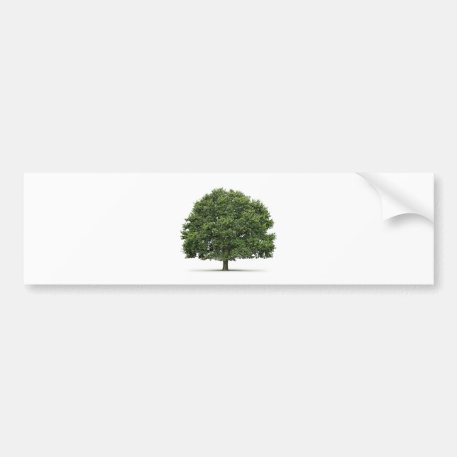 Oak Tree Bumper Sticker (Front)