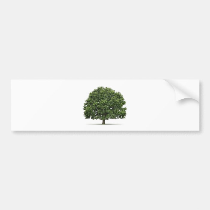 Oak Tree Bumper Stickers