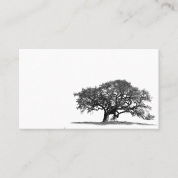 Oak Tree Business Card by CNelson01 at Zazzle