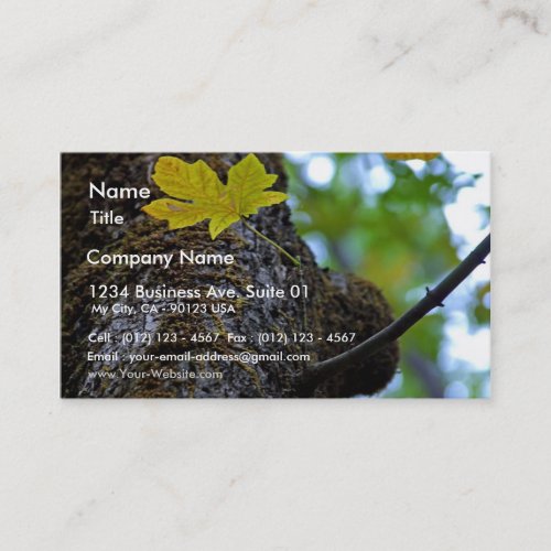 Oak Tree Business Card Templates
