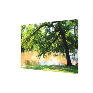 Oak Tree by Waters Edge Canvas Print