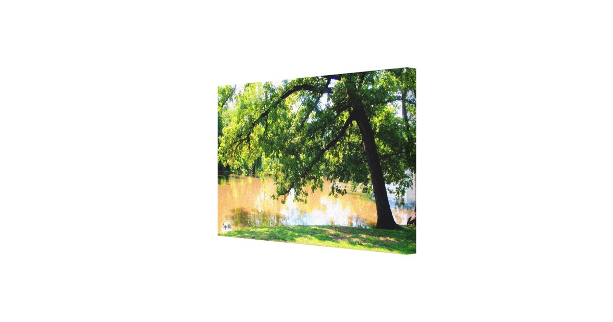 Oak Tree By Waters Edge Canvas Print Zazzle Com