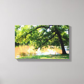 Oak Tree by Waters Edge Canvas Print