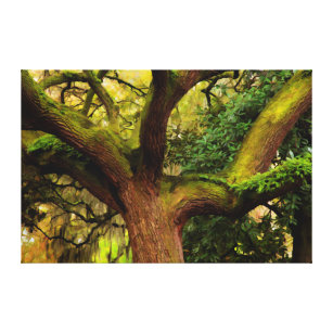 Oak tree canvas print