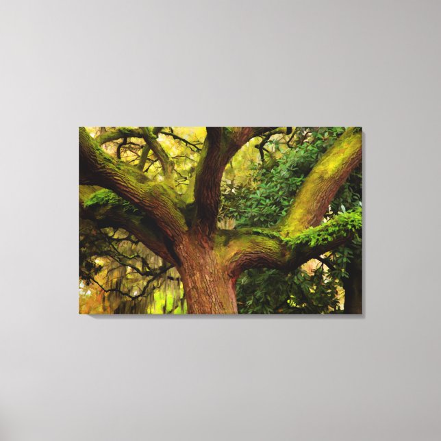 Oak tree canvas print (Front)