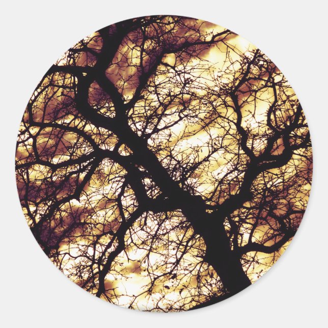 Oak Tree Classic Round Sticker (Front)