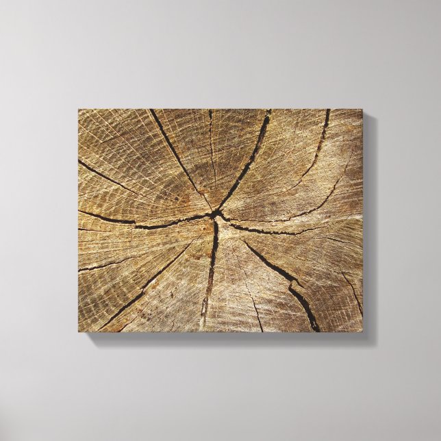 Oak Tree Cross Section Canvas Print (Front)