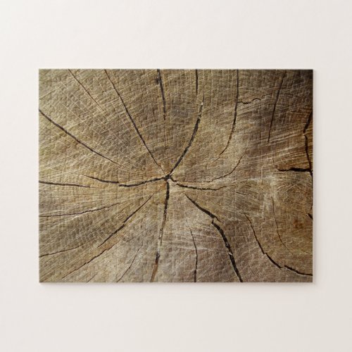 Oak Tree Cross Section Photo Puzzle with Gift Box