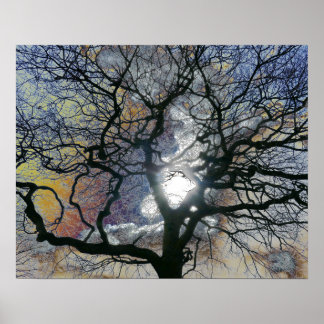 Oak tree in early Spring, colored sky edit Poster