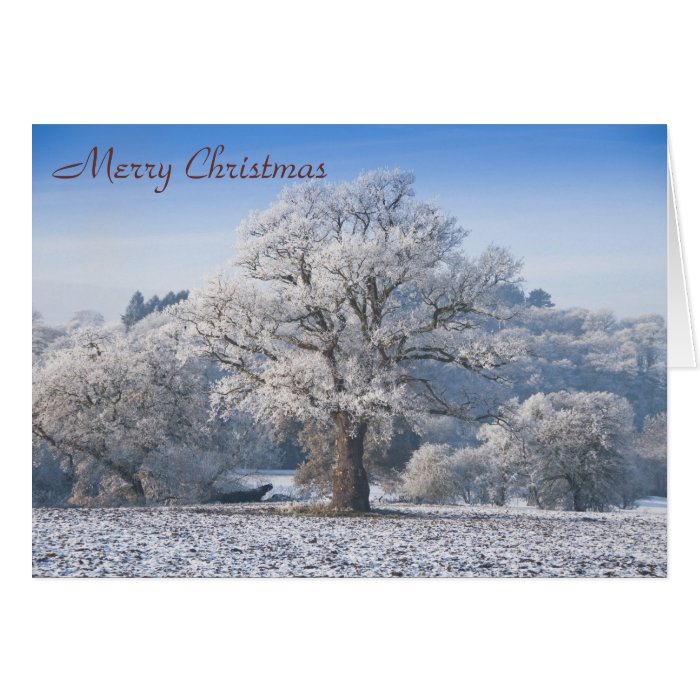 Oak Tree in Frost Christmas Card